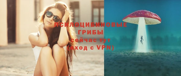 прущие грибы Белоозёрский