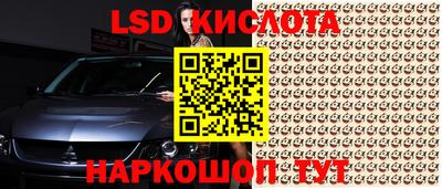 сатива Кимры