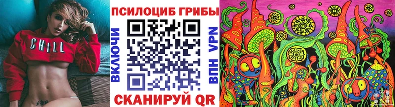 Псилоцибиновые грибы мухоморы  KRAKEN вход  Гулькевичи  продажа наркотиков 