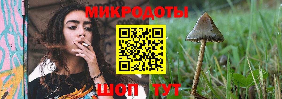 Псилоцибиновые грибы GOLDEN TEACHER Гулькевичи